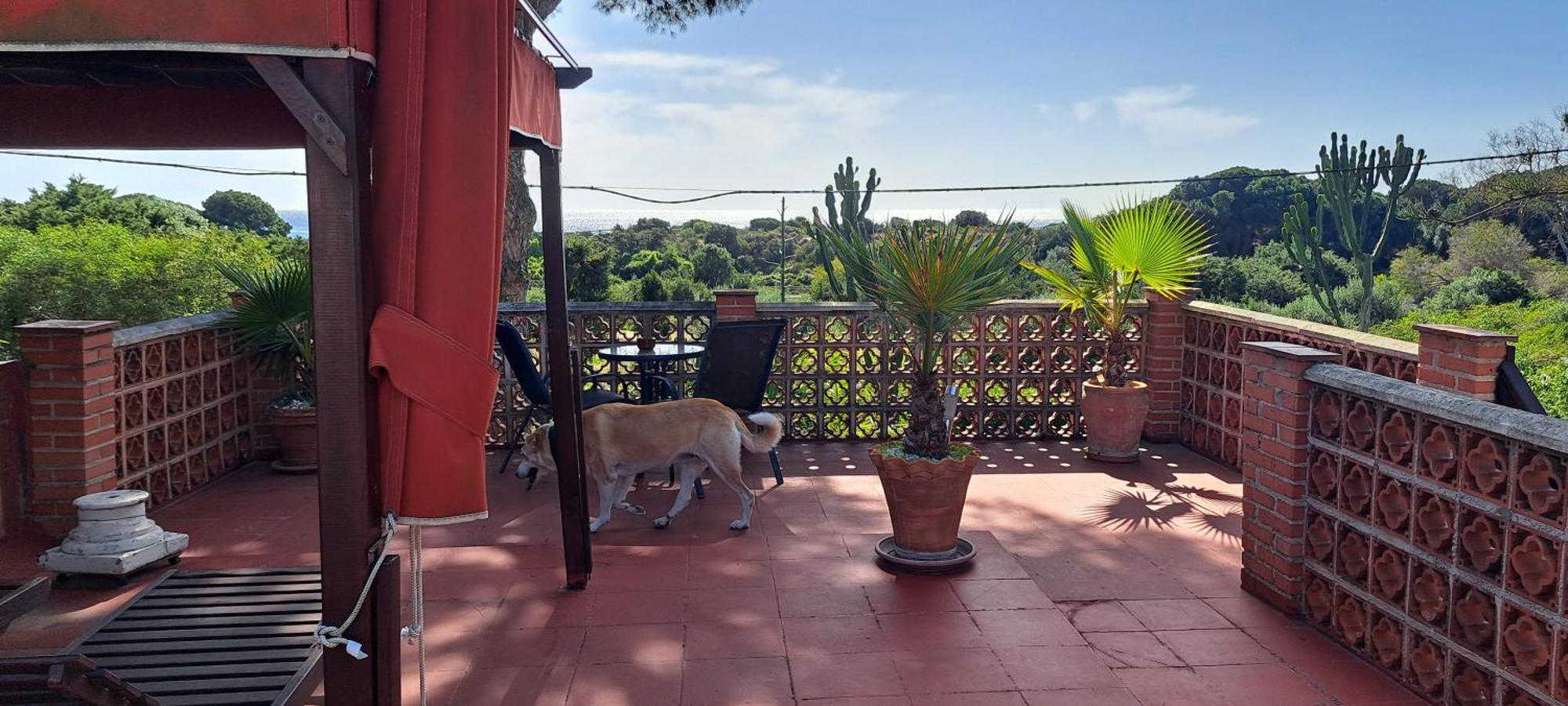 מארבלה Garden Cottage At Casa Madden מראה חיצוני תמונה